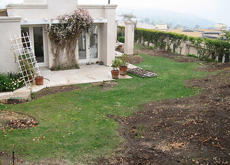 Yard before ShrubHub landscape design