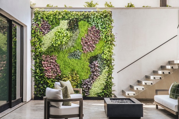 Yard after ShrubHub landscape design transformation