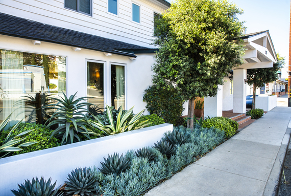 Yard after ShrubHub landscape design transformation