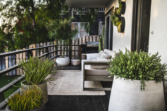 Yard after ShrubHub landscape design transformation