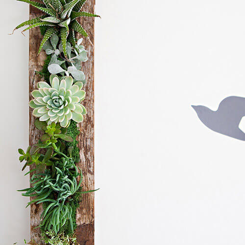 Professionally Landscaped Themes to be Inspired By. Find new ideas with our previously designed yards.